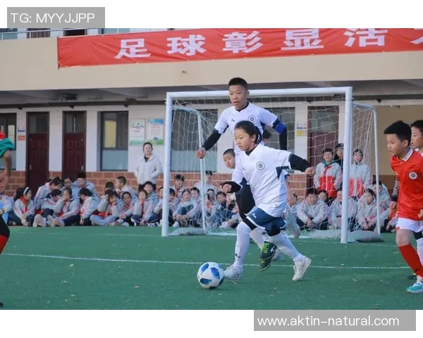 阳光足球节盛大开启全民参与共庆足球激情与友谊的盛会